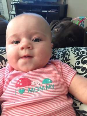 Reprodução / Gadoo