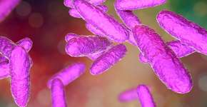 Inglaterra alerta para aumento de infecção sexual que apodrece a pele