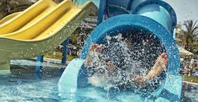 Foto: (Imgorthand/iStock)