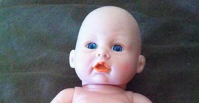 Foto: (Imagem sem texto alternativo disponivel ID [1432366])