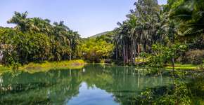 Foto: (Istock/diegograndi)