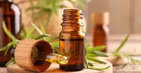 Saiba como o óleo essencial de alecrim pode ajudar no crescimento do cabelo