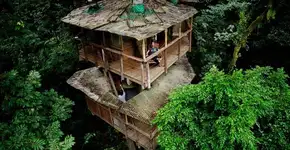 Casal cria comunidade sustentável com várias casas na árvore