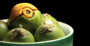 Foto: (Imagem sem texto alternativo disponivel ID [1836556])