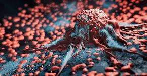 Foto: (iStock/koto_feja)