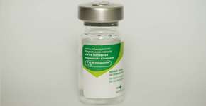 Nova vacina contra gripe pode chegar entre fevereiro e março de 2022