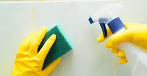 Foto: (Sergey Dementyev/istock)