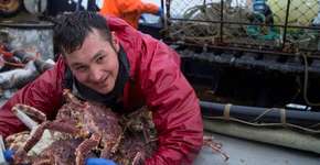 Foto: (Divulgação/Discovery)