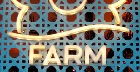 Foto: (Imagem sem texto alternativo disponivel ID [1455637])