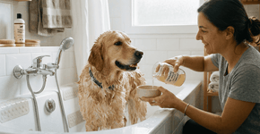 Para que serve colocar vinagre no banho do pet e por que você deve fazer