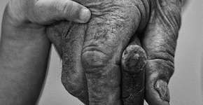 2 de dezembro é Dia de Doar; campanha mundial quer disseminar a importância da doação