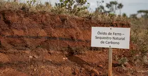 Foto: (Imagem sem texto alternativo disponivel ID [2737014])