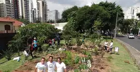 Publicitário cria projeto para plantar árvores por SP