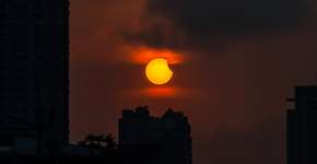 Foto: (apidechphoto/iStock)