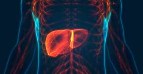 Foto: (iSTock/magicmine)