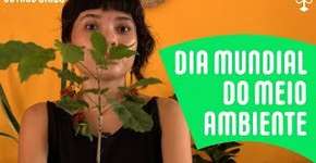 Veja algumas dicas de preservação ambiental, na semana do Meio Ambiente