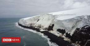 Foto: (Imagem sem texto alternativo disponivel ID [1867922])