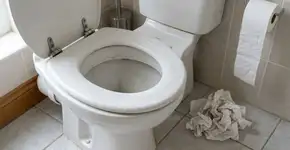 Poucos sabem por que não se deve limpar o assento do vaso sanitário com papel higiênico