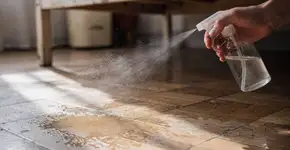 Foto: (Imagem sem texto alternativo disponivel ID [2691705])