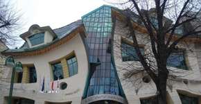 Foto: (Imagem sem texto alternativo disponivel ID [1393875])