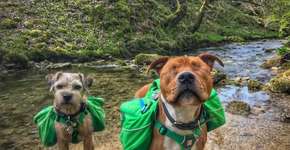 Foto: (Imagem sem texto alternativo disponivel ID [1868634])