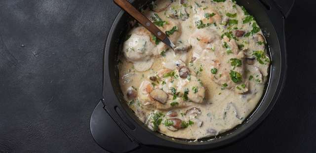 Frango cremoso com cogumelos: sabor em cada garfada