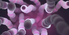 Foto: (ktsimage/istock)