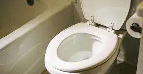 Foto: (Imagem sem texto alternativo disponivel ID [2701611])