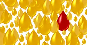 Foto: (lightsource/DepositPhotos)