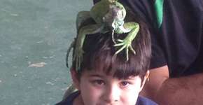 Foto: (Imagem sem texto alternativo disponivel ID [854268])