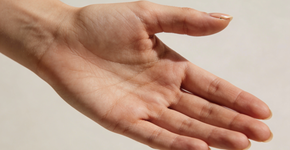 Foto: (Imagem sem texto alternativo disponivel ID [2720463])