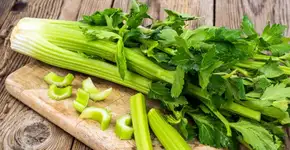 Foto: (Imagem sem texto alternativo disponivel ID [2592610])