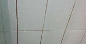 Foto: (Imagem sem texto alternativo disponivel ID [597964])