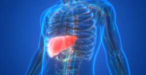 Gordura no fígado pode ser reduzida em até 75% ao tomar esta bebida