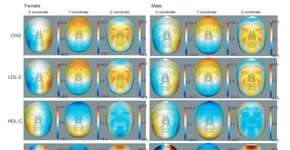 Foto: (Imagem sem texto alternativo disponivel ID [1895397])