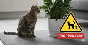 Foto: (Imagem gerada por IA/Gemini)