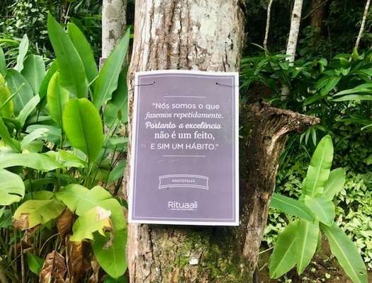 Árvores da sabedoria no jardim do Rituaali