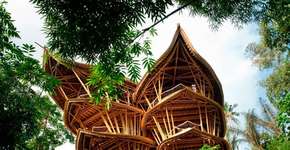 Foto: (Imagem sem texto alternativo disponivel ID [881382])