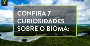 Foto: (Imagem sem texto alternativo disponivel ID [1699758])