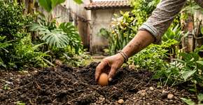 Para que serve enterrar um ovo cru no quintal de casa? Qual o significado?