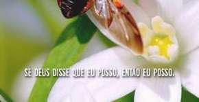 Foto: (Imagem sem texto alternativo disponivel ID [1867021])