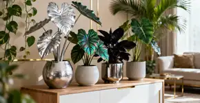 Foto: (Imagem sem texto alternativo disponivel ID [2661536])