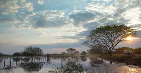 Foto: (Divulgação/@visitmsoficial)