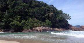 Encontro de rio e mar em Ubatuba, conheça a praia do Puruba