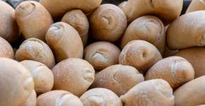 Pão de tapioca delicioso com apenas 6 ingredientes