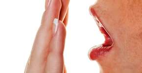 Foto: (Erwin Wodicka - wodicka@aon.at)