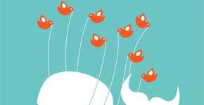 Foto: (Imagem sem texto alternativo disponivel ID [82358])