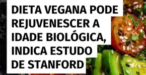 Pesquisa de Stanford sugere que dieta vegana pode reduzir a idade biológica