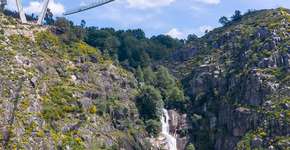 Foto: (Divulgação)