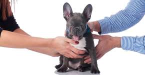 Foto: (Imagem sem texto alternativo disponivel ID [1031442])